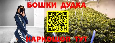 прущие грибы Лесосибирск