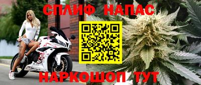 прущие грибы Ликино-Дулёво