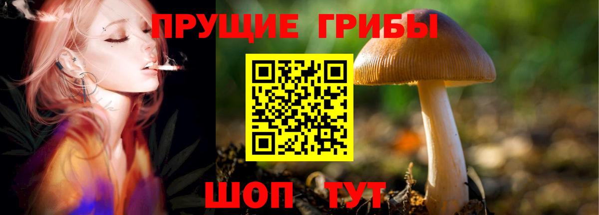 купить наркотик  Галлюциногенные грибы прущие грибы  Вход с VPN  Шахты 