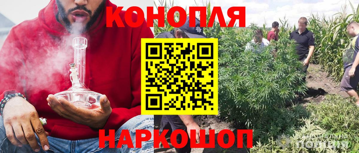 Каннабис семена  Бошки Шишки AK-47  Шахты  Бошки марихуана Ganja  Конопля конопля  Вход с VPN 